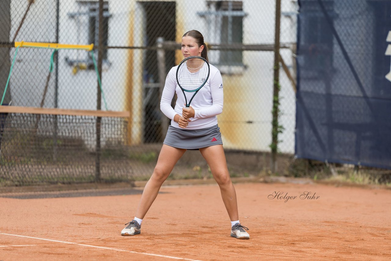 Bild 149 - BL DTV Hannover - BW Dresden Blasewitz : Ergebnis: 2:7